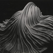Cabbage Leaf (1931)