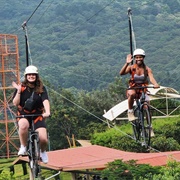 Cafe Albania - El Salvador