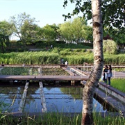 Seonyudo Park, Seoul