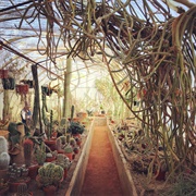 Moorten Botanical Garden and Cactarium