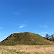 Winterville Mounds