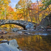 Rock Creek Park, Washington DC