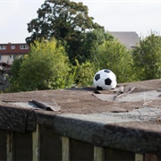 Ask the Neighbors for a Ball That Fell in the Backyard