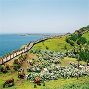 Jeju Island, South Korea