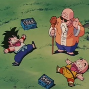 18. the Turtle Hermit Way