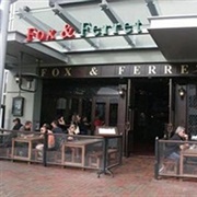 Fox & Ferret