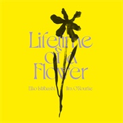 Eiko Ishibashi &amp; Jim O&#39;Rourke - Lifetime of a Flower