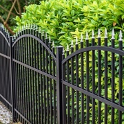 Hop a Fence to Retrieve a Disc