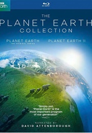 PLANET EARTH (BBC TV Series) (2006)