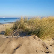 Sand Dunes of Warnemünde, Germany