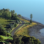 Tamar Valley Wine Region, Tasmania