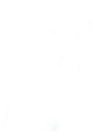 The Smart One (2012)