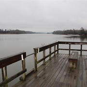 Florence Marina State Park