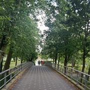 Museumpar K, Rotterdam