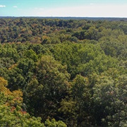 Riddle State Nature Preserve