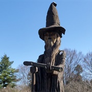 Fantasy Forest in Leila Arboretum