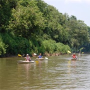 Chattahoochee Bend State Park