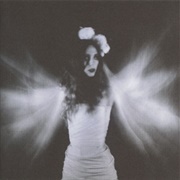 Queenadrena- Taxidermy