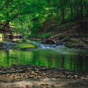 Mistletoe State Park