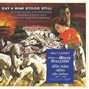 Miracle of the White Stallions