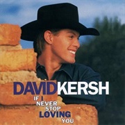 If I Never Stop Loving You - David Kersh
