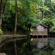 Alfred Nicholas Gardens, VIC