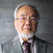 Yoshinori Ohsumi