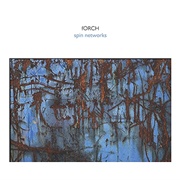 Forch - Spin Networks