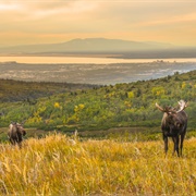 Glen Alps Overlook