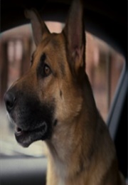 I Am Legend (Samantha) (2007)