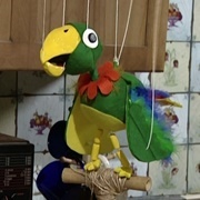 Potty Parrot