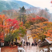 Mount Oyama, Kanagawa, Japan
