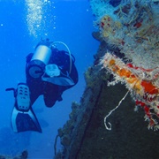 Scuba Dive in Florida Keys (Florida)