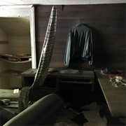 Delicate Dreams Now Decaying