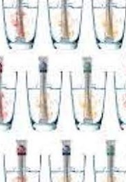 My Life, Inc. (2004)