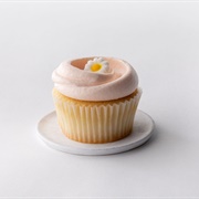Magnolia Bakery Vanilla Cupcake