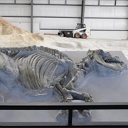 Ashfall Fossil Beds