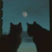 Loofimixkichi - Happy Hour