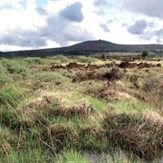 Le Yeun Elez - Monts D'Arrée – Bretagne