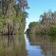 Bayou Segnette State Park