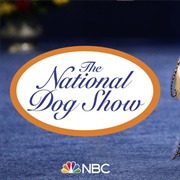 National Dog Show