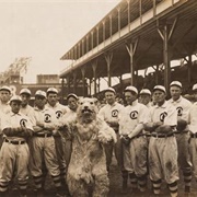 The Chicago Cubs Win World Series