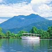 Daintree River and Rainforest, Australia