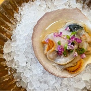 Kadence, Orlando, Florida