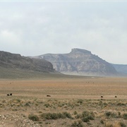 Basin and Range National Monument