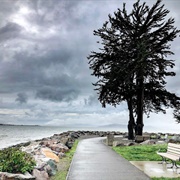 Emeryville Crescent State Marine Reserve