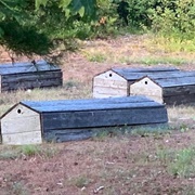 Bay Mills Old Indian Burial Ground