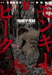 Monkey Peak (Koji Shinasaka, Akihiro Kumeta)
