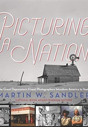 Picturing a Nation (Martin W. Sandler)