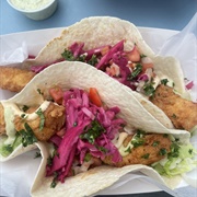 Sun Dog on the Beach, Wildwood Crest, New Jersey